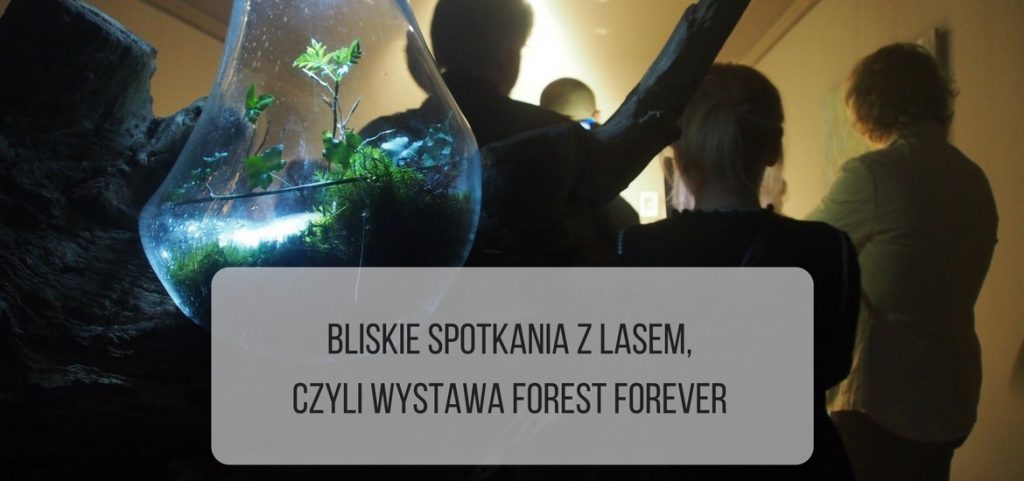 Bliskie spotkania z lasem, czyli wystawa Forest Forever